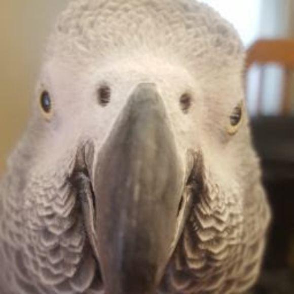 Meet your Posher, Smaki - Picture 1 of 1